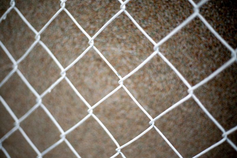 Chain Link Fence Replacement in Roseville, CA