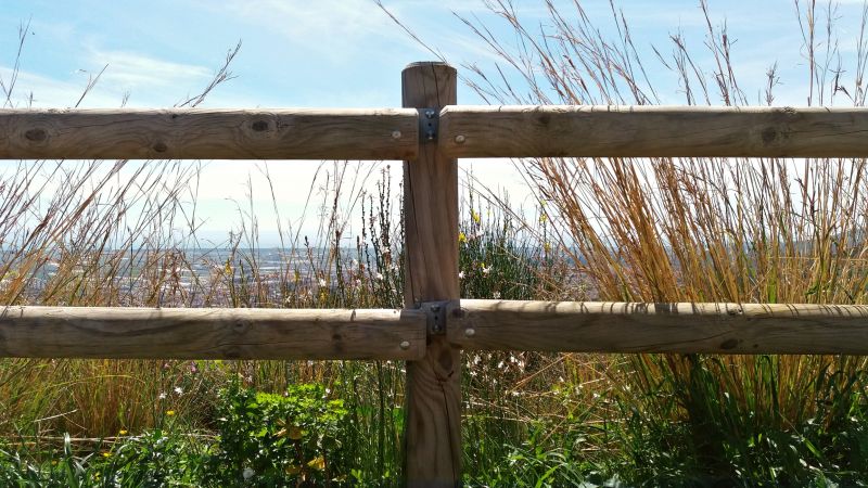 Redwood Fence Installation in Roseville, CA